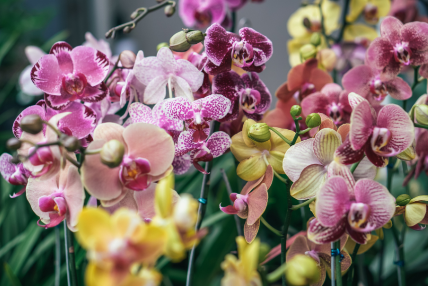 13 Must-Do March Events in the Ann Arbor Area 2022